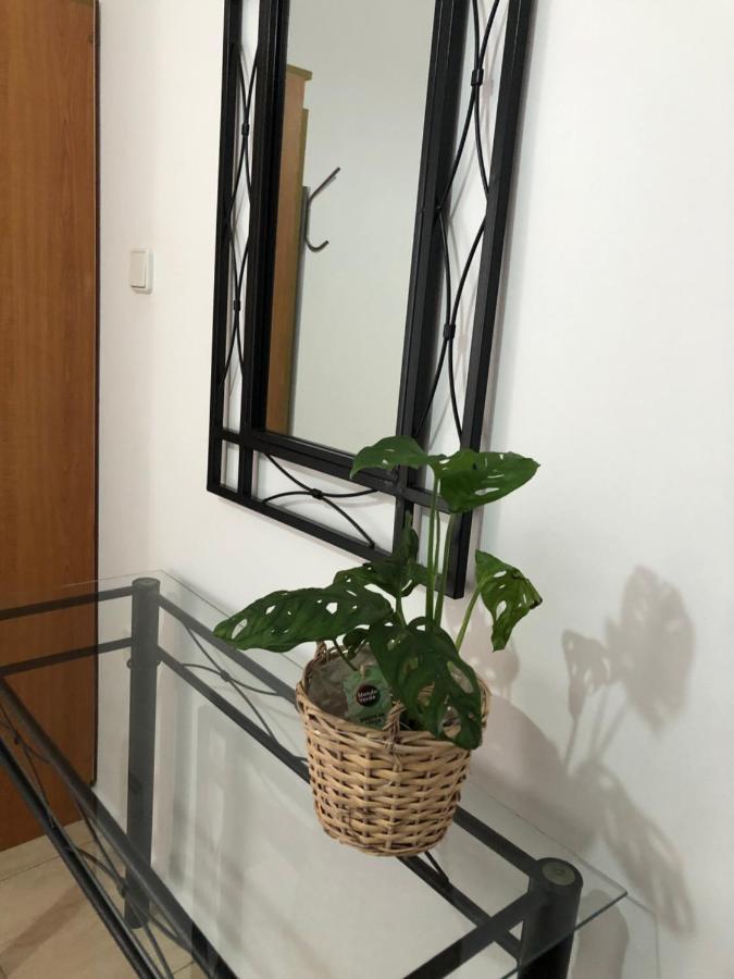 Moschoula Studios Plaka Plaka  Dış mekan fotoğraf
